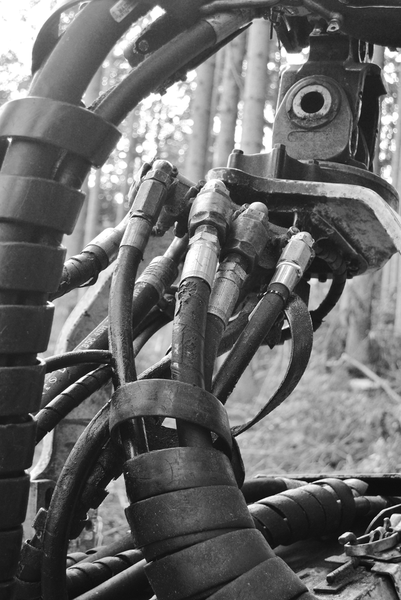 Massive Killing Capacity 03