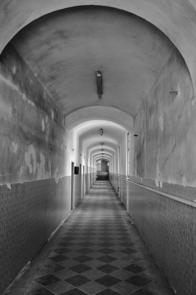 Basa tvrdí muziku I