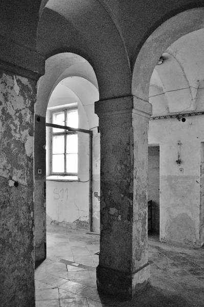 Basa tvrdí muziku II