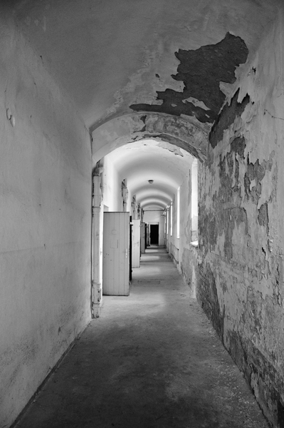 Basa tvrdí muziku III