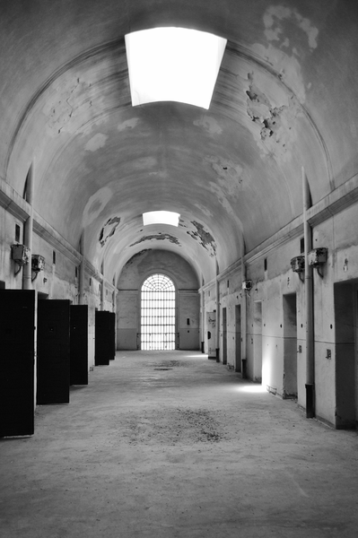 Basa tvrdí muziku V