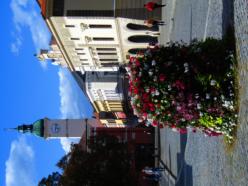 květinová výzdoba na Masarykově náměstí směrem k věži staré radnice 