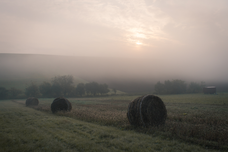Glorious Morning