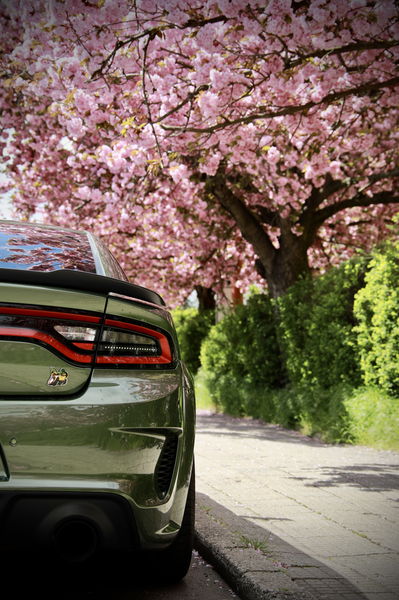 Jaro v Uherském Hradišti