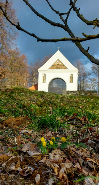 Předjarní Rochus I