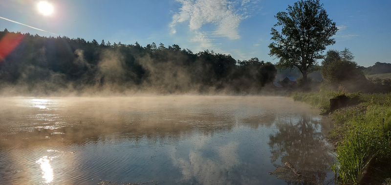 Proměny - letní ráno u Březolupského rybníka