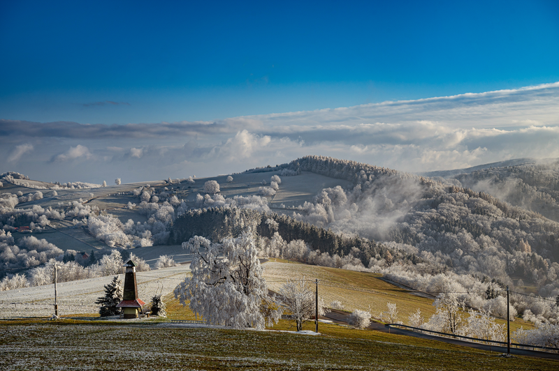 Vyškovec