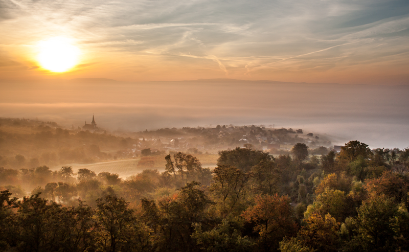 Mlhavé ráno nad obcí Polešovice