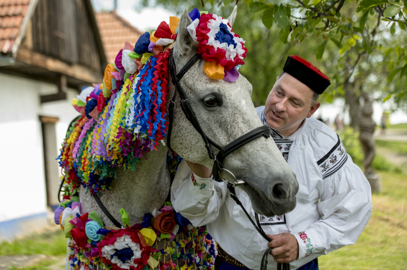 Jízda králů Vlčnov