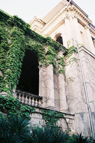 Sloučení architektury a přírody