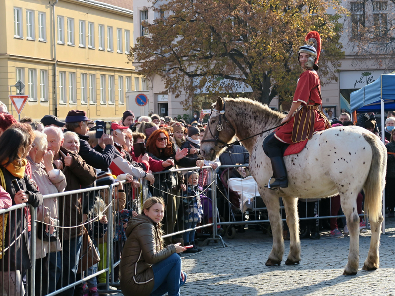 MARTIN NA BÍLÉM KONI