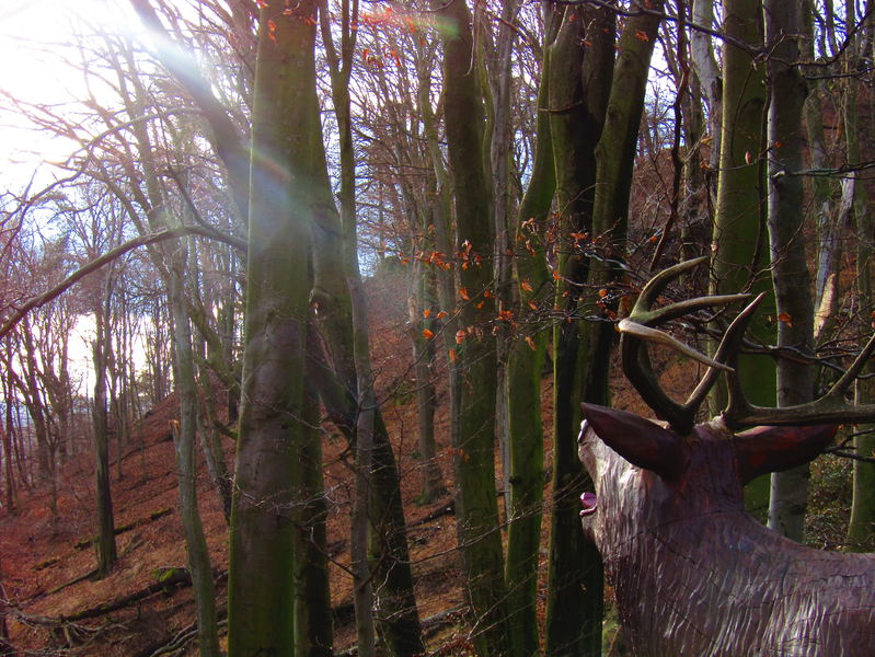 dřevěný jelen na lesnické naučné stezce okolo Buchlova