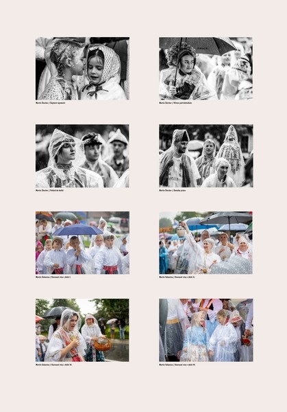 Martin Štecher, Martin Sekanina