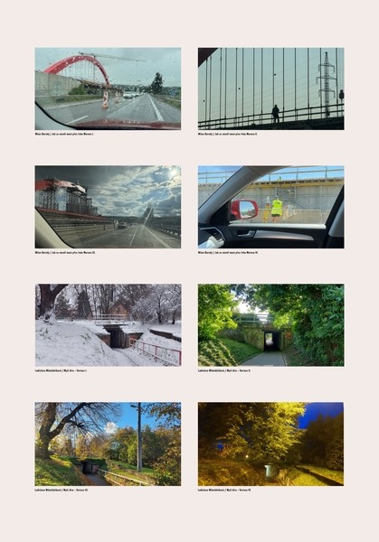 Milan Borský, Ladislava Mikuláštíková