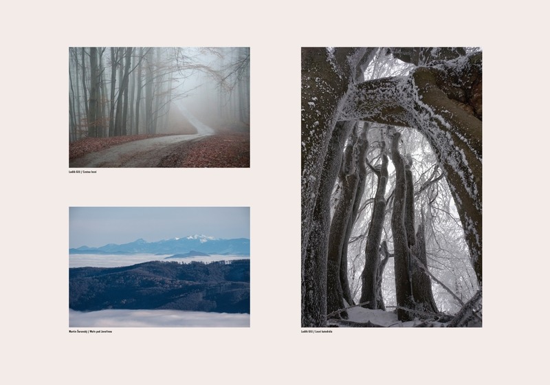 Luděk Glíž, Martin Šuranský