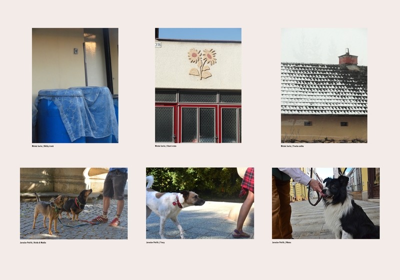 Michal Jurča, Jaroslav Petřík