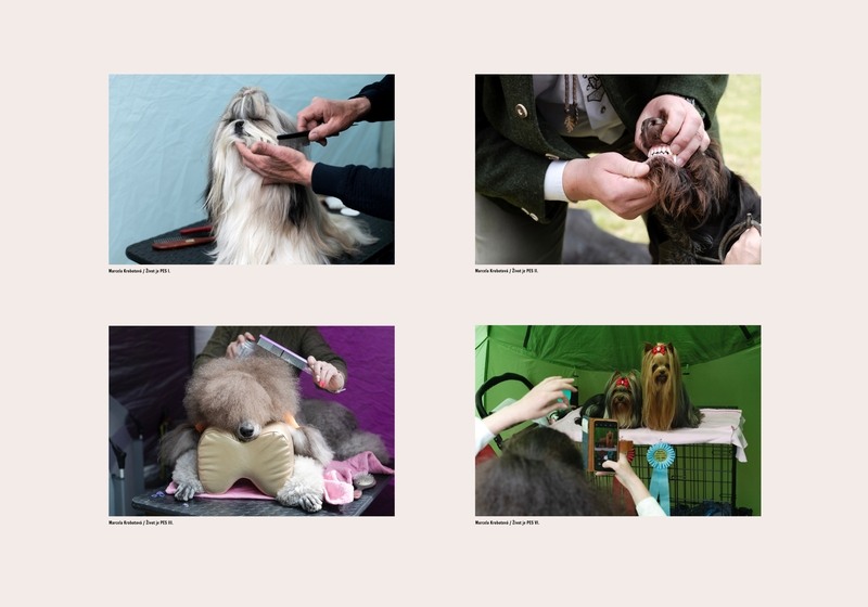 Marcela Krobotová (1)