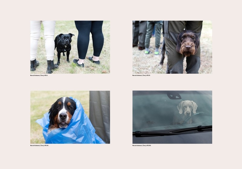 Marcela Krobotová (2)