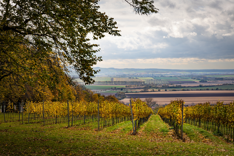 Opatruj svůj kraj 2