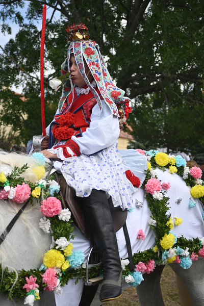 Král z Kunovic