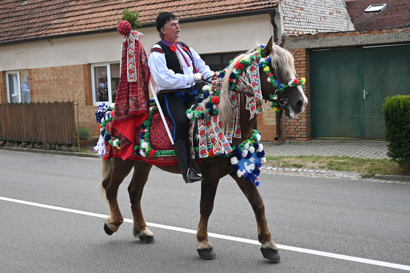 Praporečník