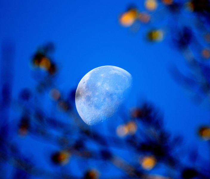 Decresco Luny