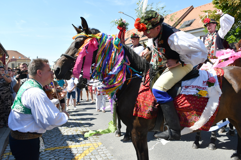 Jízda králů 