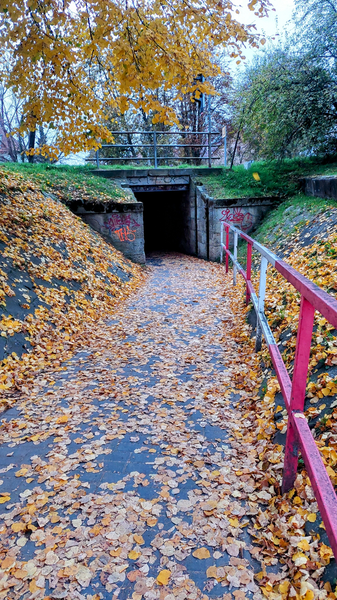 Myší díra - Variace 5 