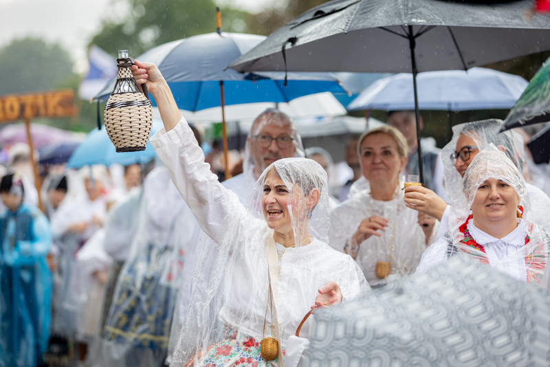 Slavnosti vína v dešti