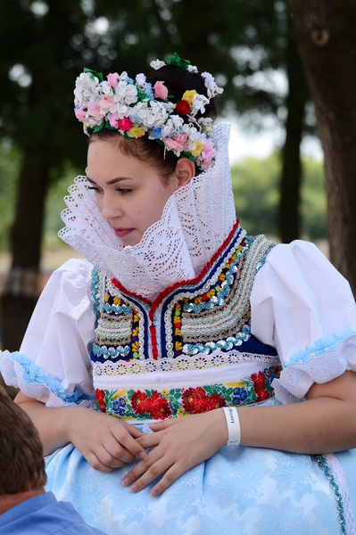 Družička
