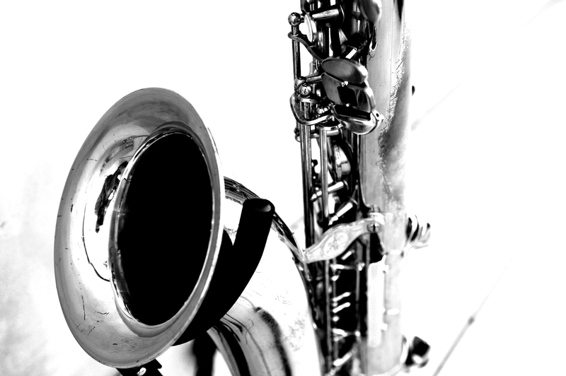 jazz na vinici