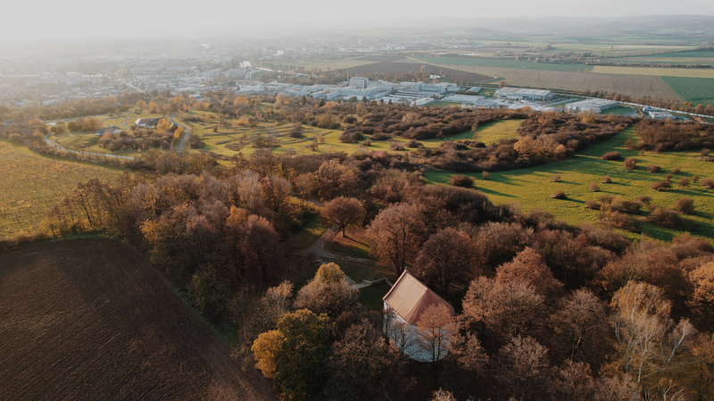 Večerní Rochus