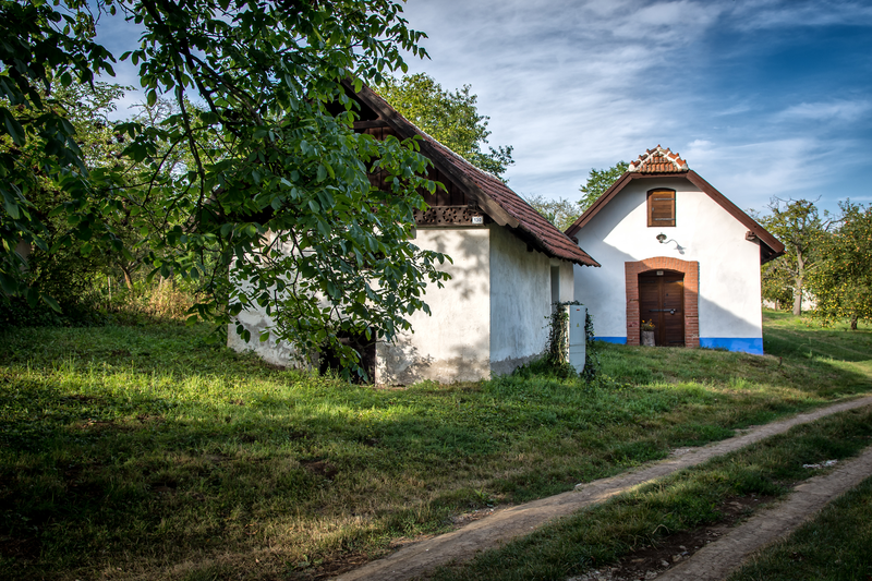 Domek ve vinohradu II