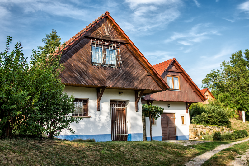 Domek ve vinohradu I