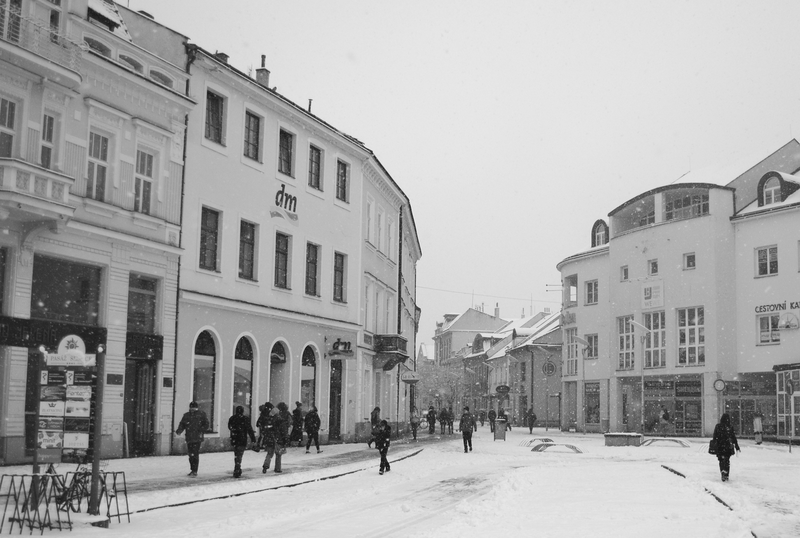 únor bílý... (2)