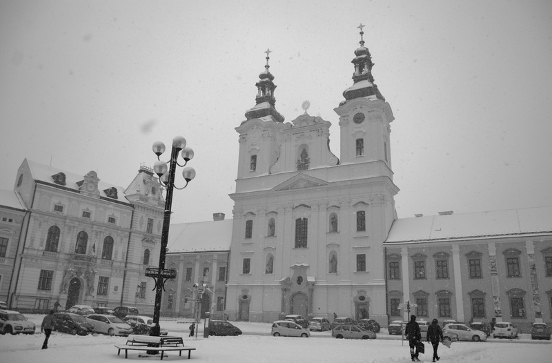 únor bílý... (1)