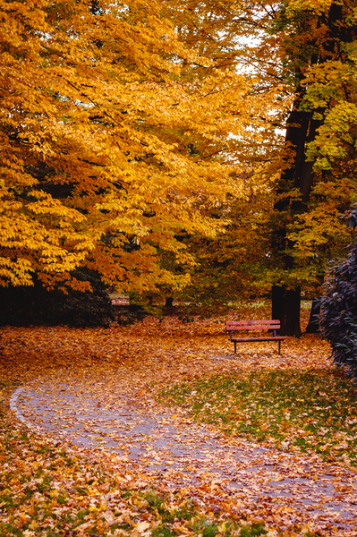 podzim ve Smetanových sadech