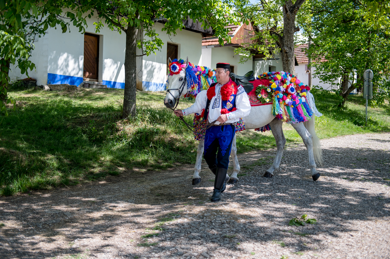 Jízda králů