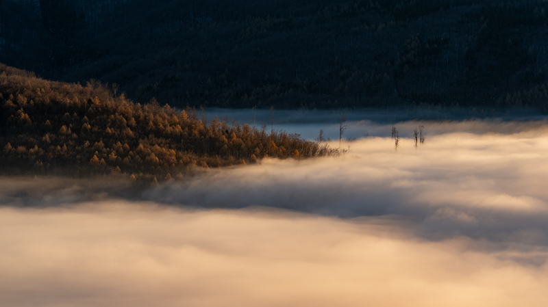 Podzimní mlhy v Bílých Karpatech II