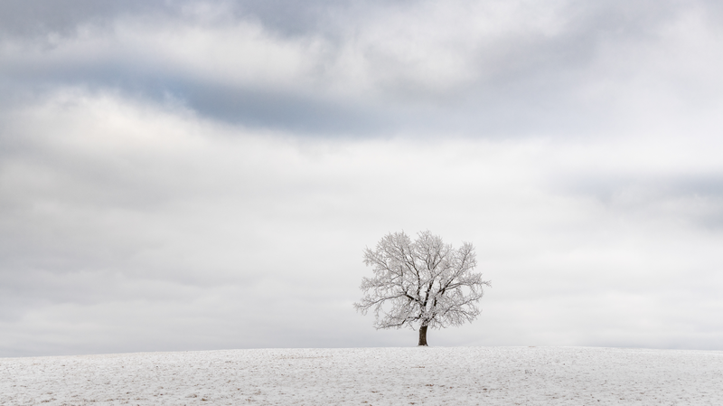 Zima v Bílých Karpatech I