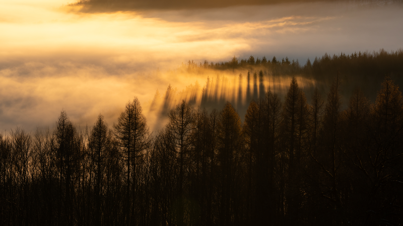 Podzimní mlhy v Bílých Karpatech III