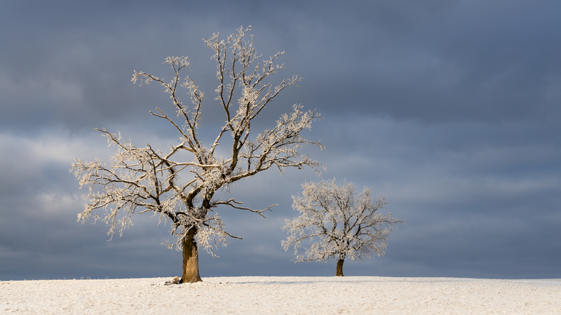 Zima v Bílých Karpatech II