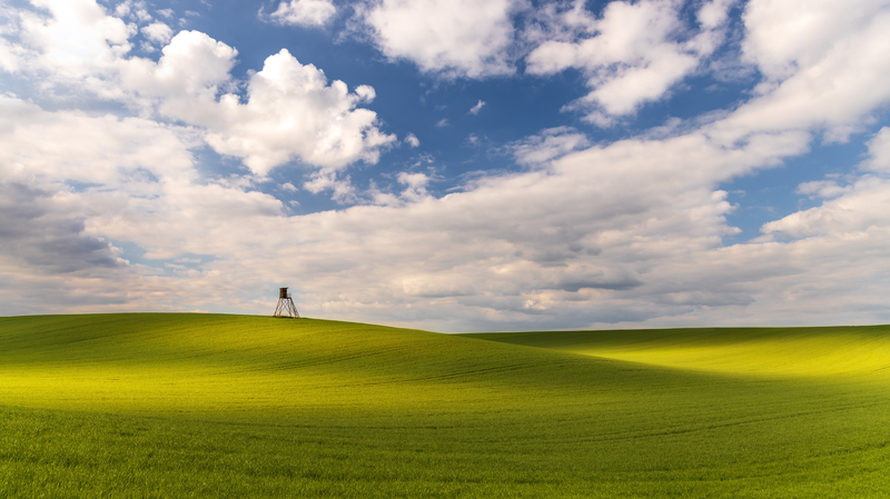 Jaro v tupeských polích