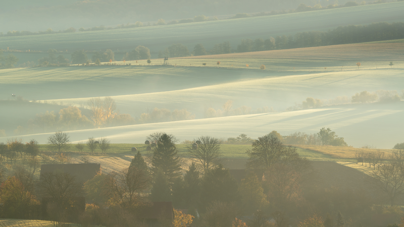 Ráno z polí do polí