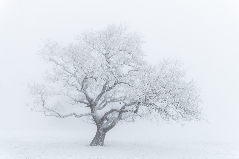 Zima v Býlích Karpatech III