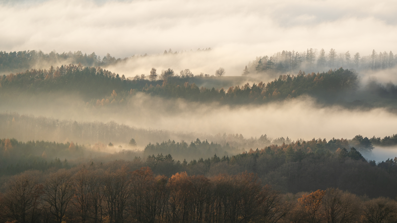 Podzimní mlhy v Bílých Karpatech I