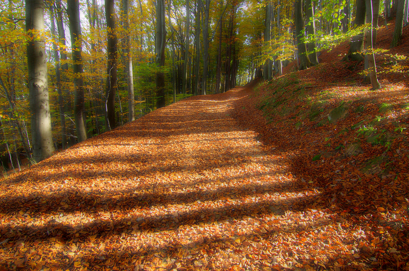 Cestou na Barborku II