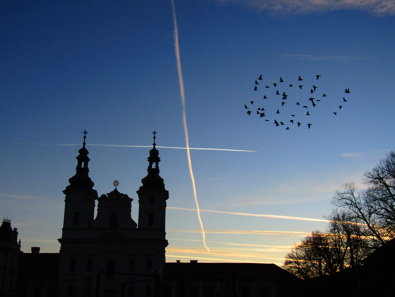 Letecká představení holubů a letadel nad městem